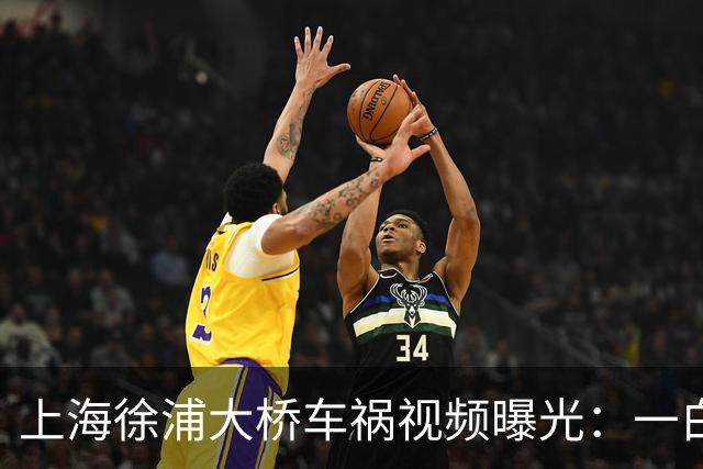 上海徐浦大桥车祸视频曝光：一白车外道超车变道，大货车躲避不及冲向对向，事故造成一死两伤
