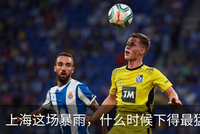 上海这场暴雨，什么时候下得最猛？答案可能让你今晚不想出门