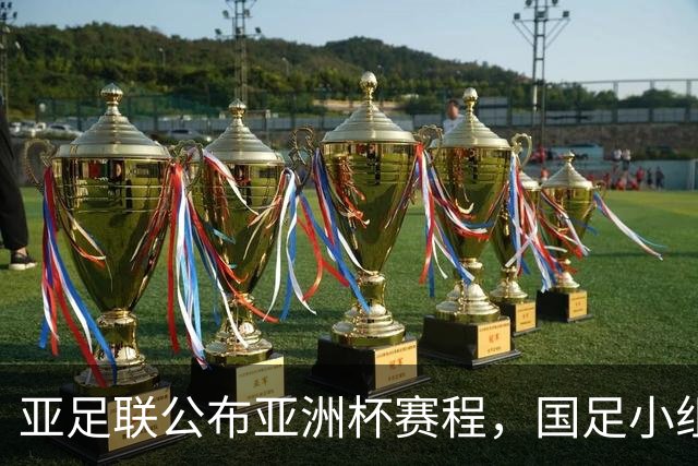 亚足联公布亚洲杯赛程，国足小组赛均在黄金时间段