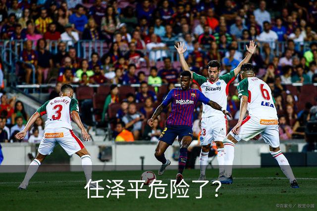 任泽平危险了？
