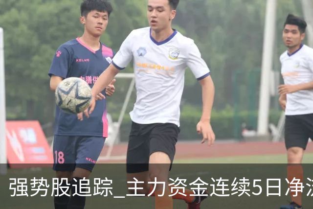 强势股追踪 主力资金连续5日净流入137股