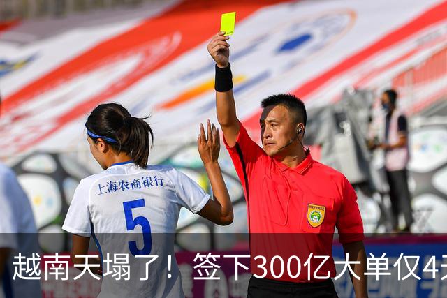 越南天塌了！签下300亿大单仅4天，中国新出一项公告，项目或流产