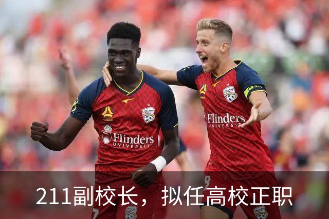 211副校长，拟任高校正职